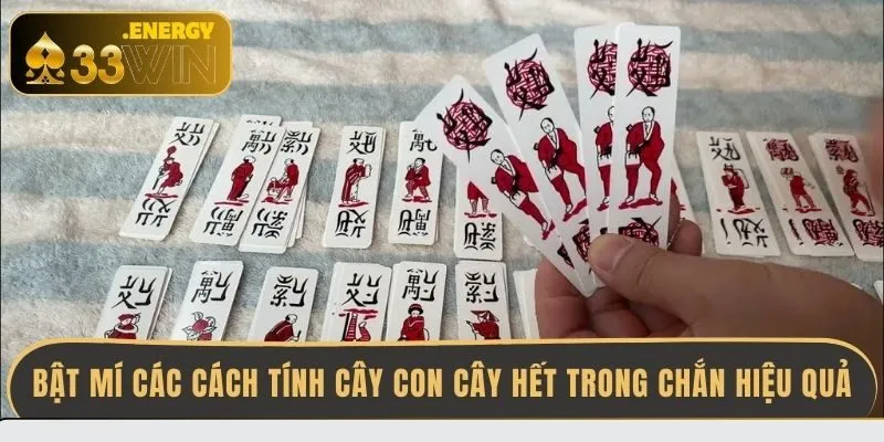 bat-mi-cac-cach-tinh-cay-con-cay-het-trong-chan-hieu-qua