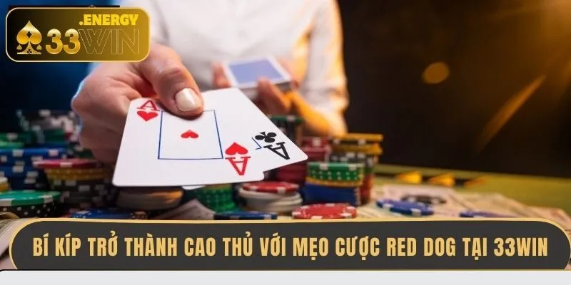 bi-kip-tro-thanh-cao-thu-voi-meo-cuoc-red-dog-tai-33win