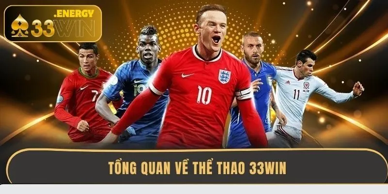 tong-quan-ve-the-thao-33win